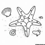 Starfish Coloring Shell Drawing Line Colouring Fish Star Outline Seashore Getdrawings Picolour sketch template