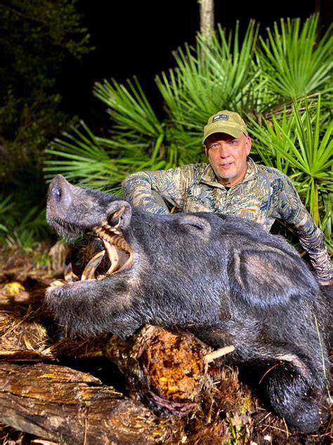 Thermal Imaging Hog Hunts In Florida Black Tine Outfitters Llc