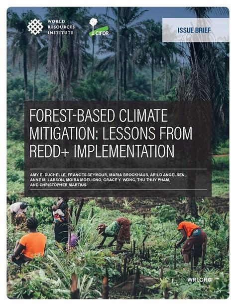 Forest Based Climate Mitigation Lessons From Redd Implementation