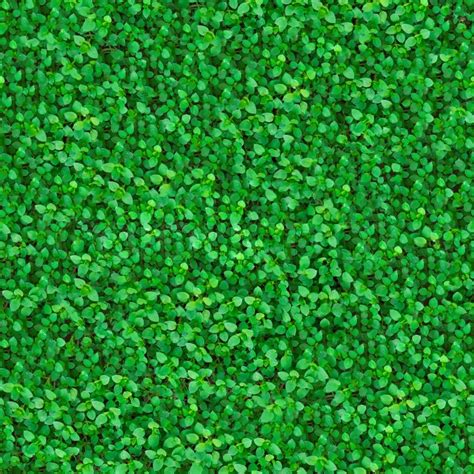Green Meadow Grass Seamless Texture Stock Bild Colourbox