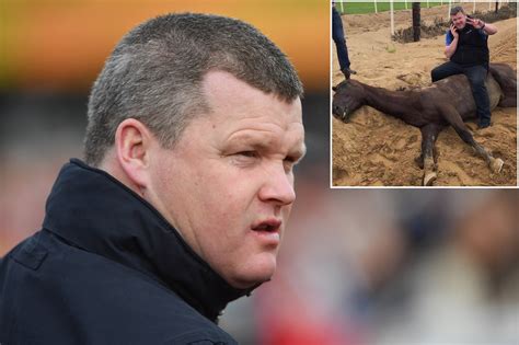 Gordon Elliott apologizes for photo sitting on dead horse | Sports ...