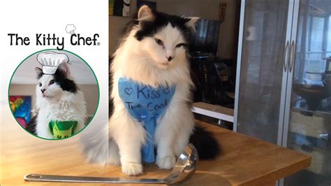 This organic chicken bone broth has a really good flavor. The Kitty Chef (The Oreo Cat): Chicken Soup for Cats ...
