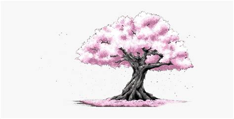 Cherry Blossom Tree Drawing Simple Easy Drawing