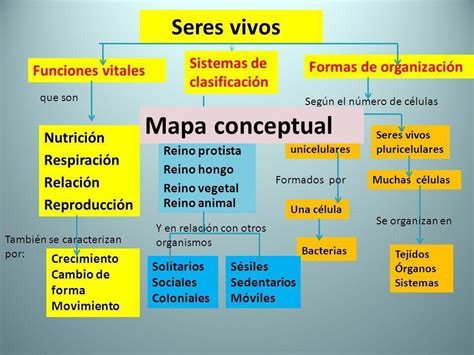 Mapa Conceptual Clasificacion De Los Seres Vivos Kulturaupice