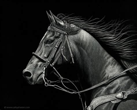 Hyper-Realistic Scratchboard Illustrations by Cathy Sheeter | Daily ...