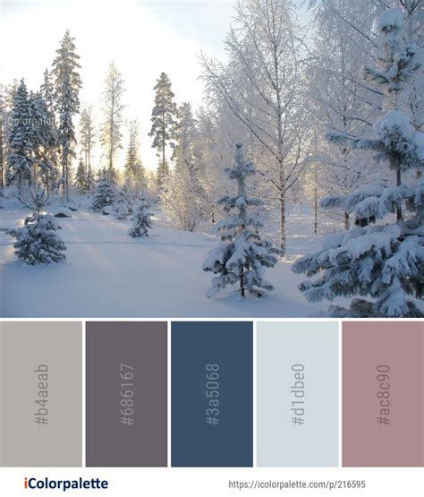 Color Palette Ideas From Winter Snow Frost Image Icolorpalette