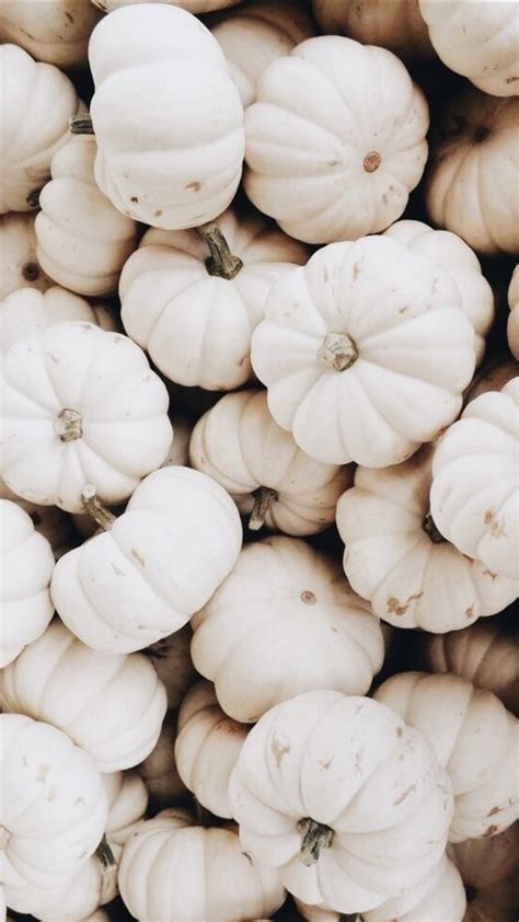 21 Aesthetic Fall Iphone Wallpapers You Need For Spooky