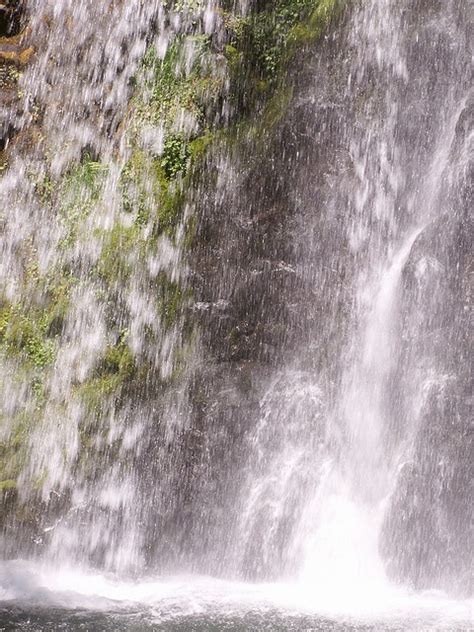 Waterfalls Waterfall Roseburg Oregon