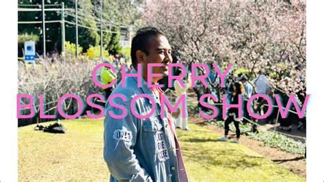 Cherry Blossom Show Auburn Sydney Vlog Sagaz Youtube