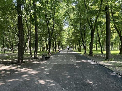 У дніпровському парку Шевченка оновлена алея