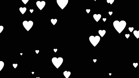 White Backgrounds With Hearts