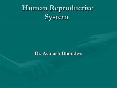 Human Reproductive System Ppt