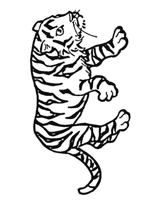 Page Sur Sur Hugolescargot Com Dessin Tigre Coloriage