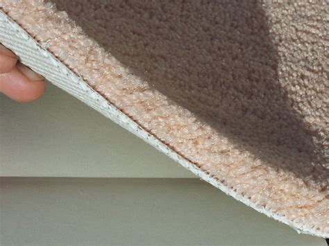Unsere teppiche eignen sich selbstverständlich auch für die einrichtung von büro oder praxis. Teppichboden Kaufen | Haus Deko Ideen