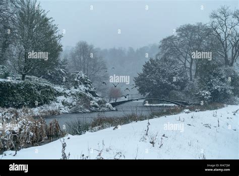 Blizzard Conditions With A Thick Blanket Of Snow Covering Stourhead