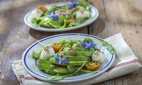 Maybe you would like to learn more about one of these? Come cucinare la borragine: consigli e ricette per usarne ...