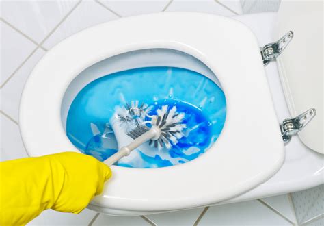 5 steps on how to clean toilet see what s the best method