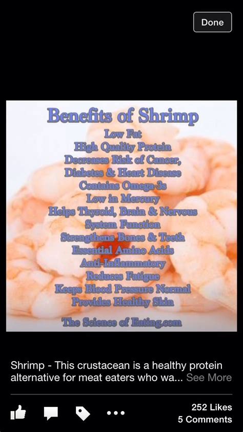 Health Benefits Of Shrimp I Love Shrimps Musely