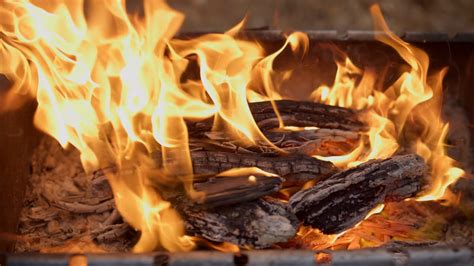 Closeup Of Flames Of Fire Burning Wood At Stock Footage Sbv 338799918