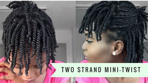 Super Easy Two Strand Mini Twists On Dry Natural Hair 4c