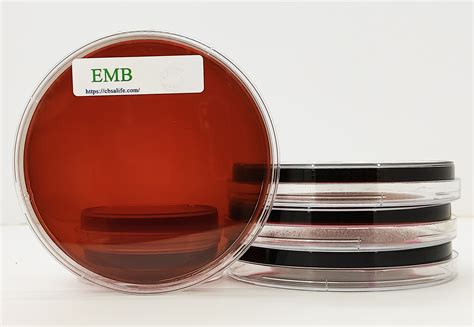 Emb Agar Eosin Methylene Blue Agar Sharebiology 60 Off