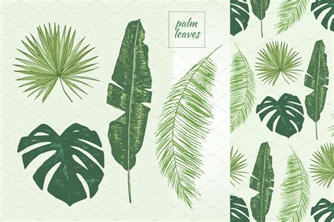 Palm Leaves Illustrations Creative Market
