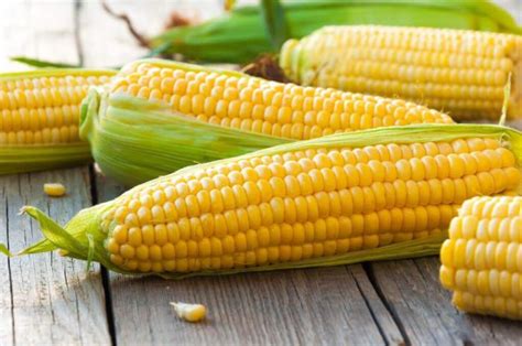 Kandungan kalium yang terkandung dalam jagung dapat menjaga cairan dalam tubuh sehingga sel plasenta dapat terjaga keamanannya. Manfaat Jagung bagi Penderita Asam Urat