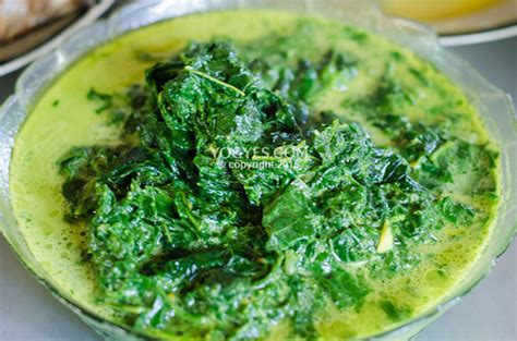 We did not find results for: Sayur daun ketela di RM Legokan Ngancar