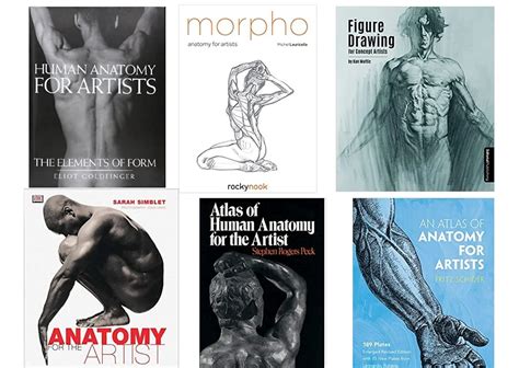 Best Art Books For Anatomy Basic Anatomy For The Manga Artist