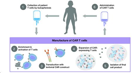 Car T Cell Therapy Explained