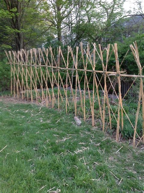 Constructing Deer Fencing Out Of Giant Reed I Build A Different