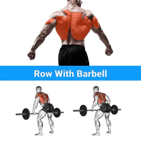 Row With Barbell Good Back Workouts Back Exercises Back Muscles