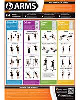 Muscle Exercise Chart Pdf