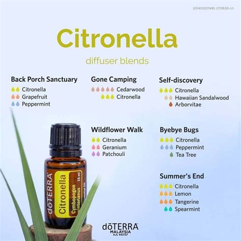 Citronella Diffuser Blends In 2022 Diffuser Blends Citronella