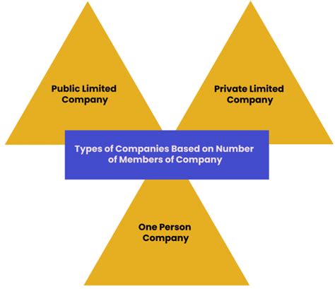 What are the different Types of Companies Under Companies Act 2013