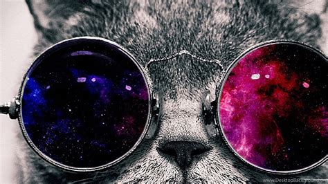 80 Galaxy Cat Wallpapers On Wallpaperplay