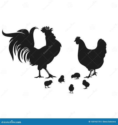 chicken rooster and chickens stock vector illustration of chicken domestic 120742770