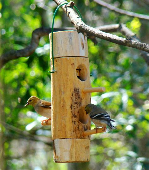 Don't forget to share our. Hanging bird feeder mini is all wood and handmade this