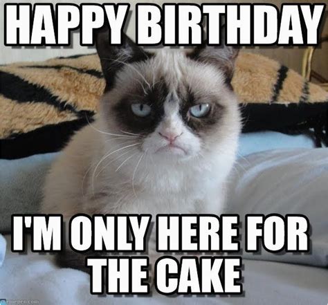 We just want to take this time to appreciate you and celebrate your lap around the sun with memes. Happy Birthday Meme for Kids Best 25 Birthday Meme ...