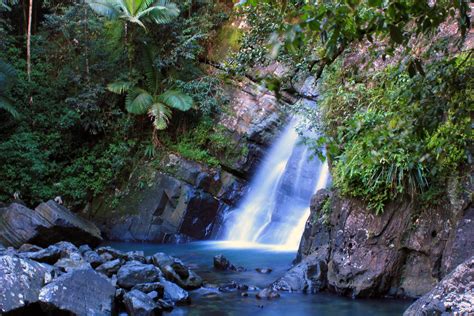 Bosque Nacional El Yunque Río Grande Puerto Rico Descubra Puerto Rico