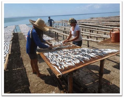 Livelihood In Bulansorsogon Dried Fish