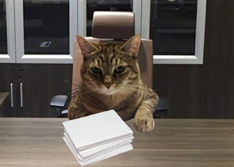 Boss Cat Makes Demands Rinsidermemetrading