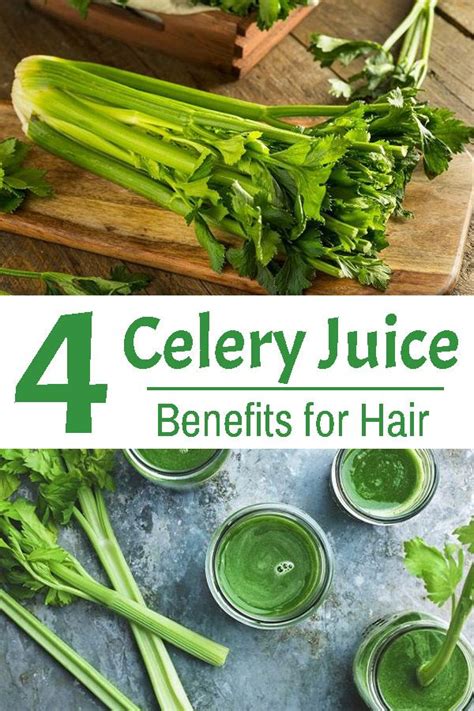 Know All About The Nutrient Packed Celery Juice Benefits For Hair In This Article Also Read