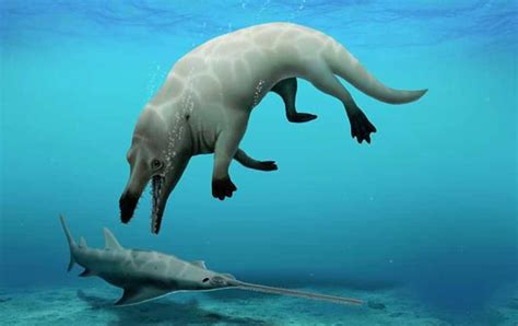 Ballena de 4 patas vivió en el planeta hace 40 millones de años
