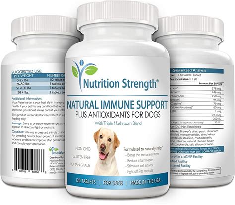 What Will Boost My Dogs Immune System