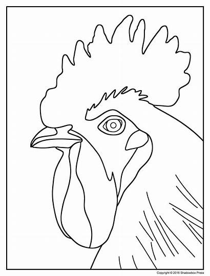 Coloring Pages Adults Elderly Older Colouring Rooster