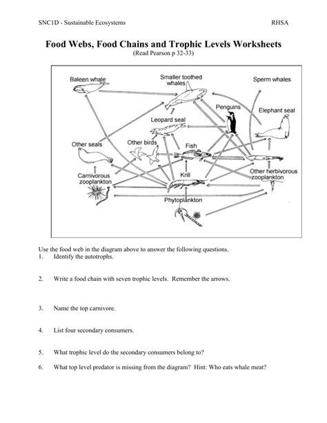 Food Web And Food Chain Worksheet Answers Key Herbalens