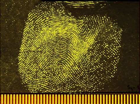 Fingerprints Are More Than Just Patterns Theyre Chemical Identities