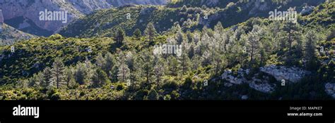 Landscape Image At Puertos De Beceite National Park Showing The