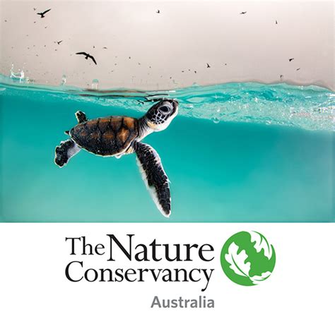 The Nature Conservancys 2022 Global Photo Contest Opens Today Photo